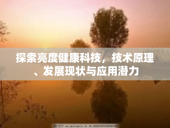 探索亮度健康科技，技术原理、发展现状与应用潜力
